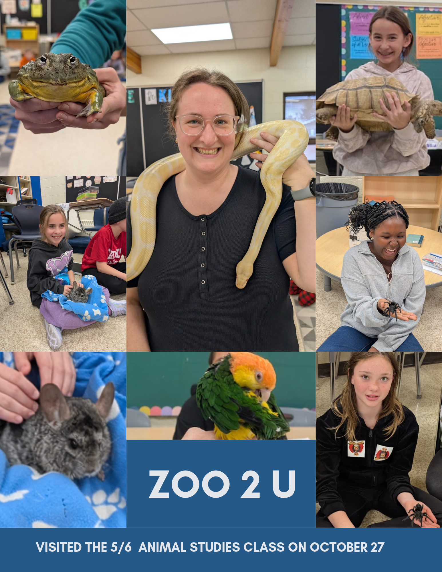 Zoo 2 U