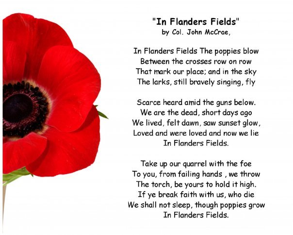 flanders field